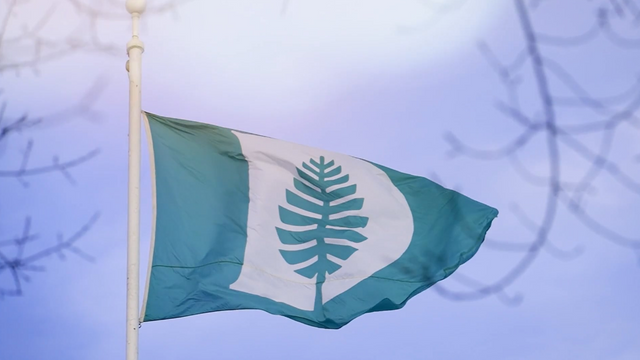 Dartmouth Flag